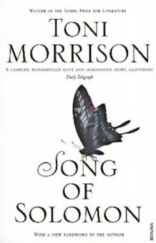 solomon cover