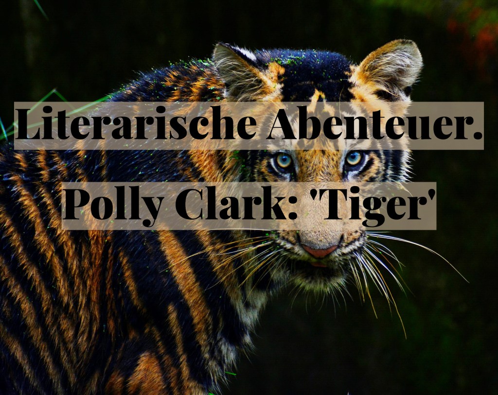 Literarische Abenteuer. Polly Clark: ‚Tiger‘