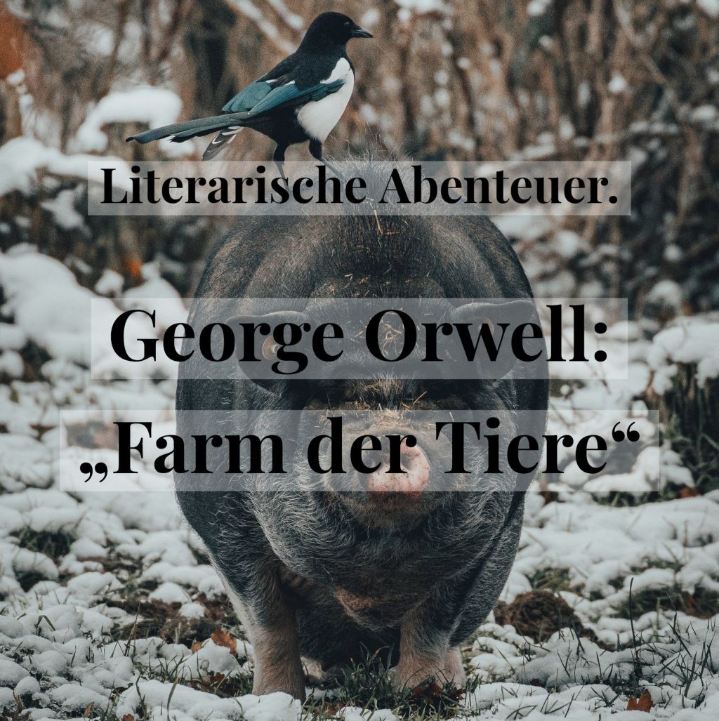 Literarische Abenteuer. George Orwell: „Farm der&nbsp;Tiere“