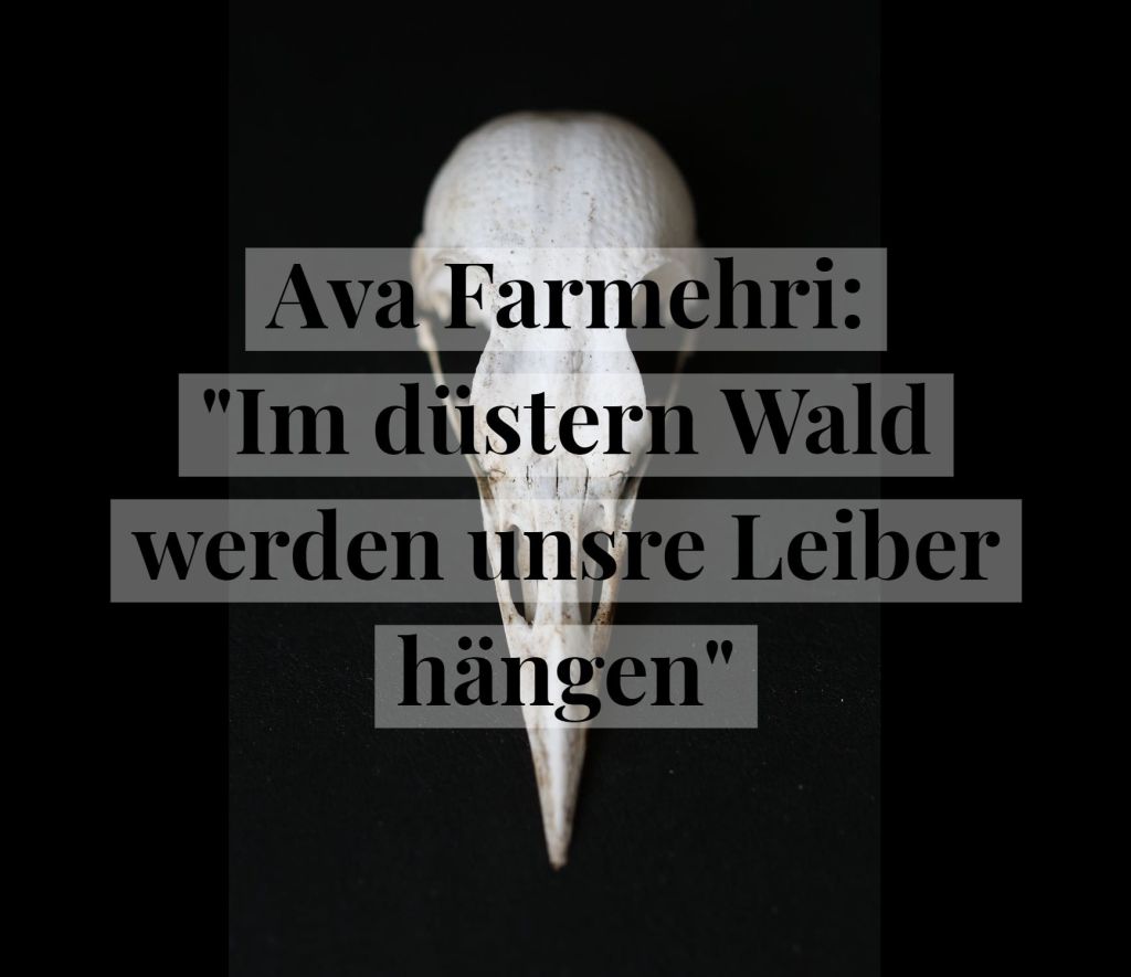Wo nur Vernichtung aller Hoffnung bestraft. Ava Farmehri: „Im düstern Wald werden unsre Leiber&nbsp;hängen“