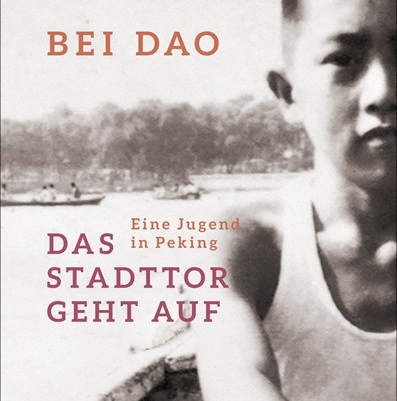 Spitzfindige Fotoalben. Bei Dao: „Das Stadttor geht&nbsp;auf“