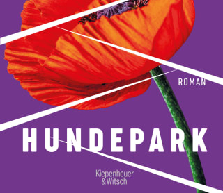Opium, Embryos und kopflose Leichen. Sofi Oksanen: „Hundepark“