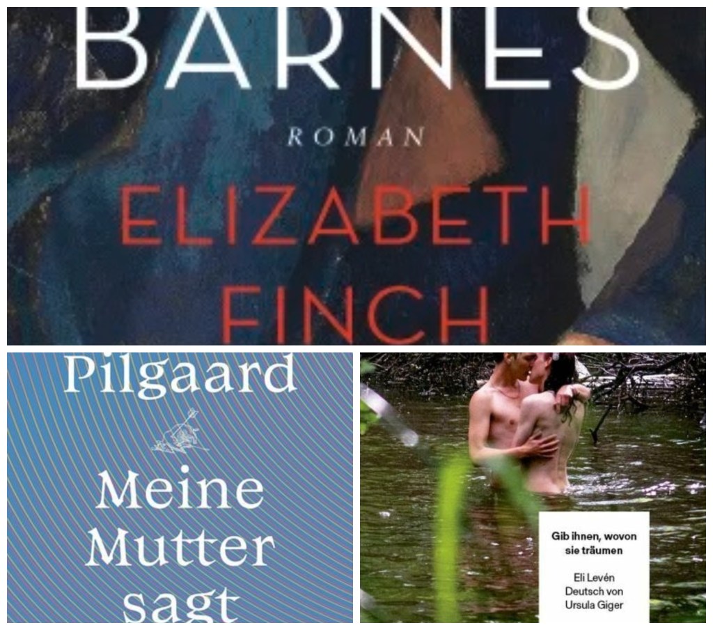 Drei Kurzrezensionen, Edition Liebe: „Elizabeth Finch“, „Meine Mutter sagt“ und „Gib ihnen, wovon sie&nbsp;träumen“
