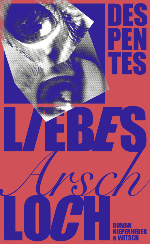 Geschlossene Gesellschaft. Virginie Despentes: „Liebes Arschloch“