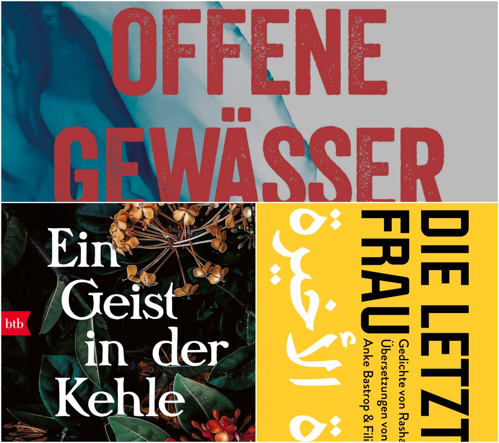 Drei Kurzrezensionen, Edition Weiblich: „Ein Geist in der Kehle“, „Die letzte Frau“ und „Offene&nbsp;Gewässer“
